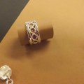 DSCN2184