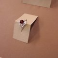 SAM_0142