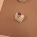 SAM_0202