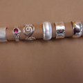 SAM_0533