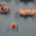 SAM_0962